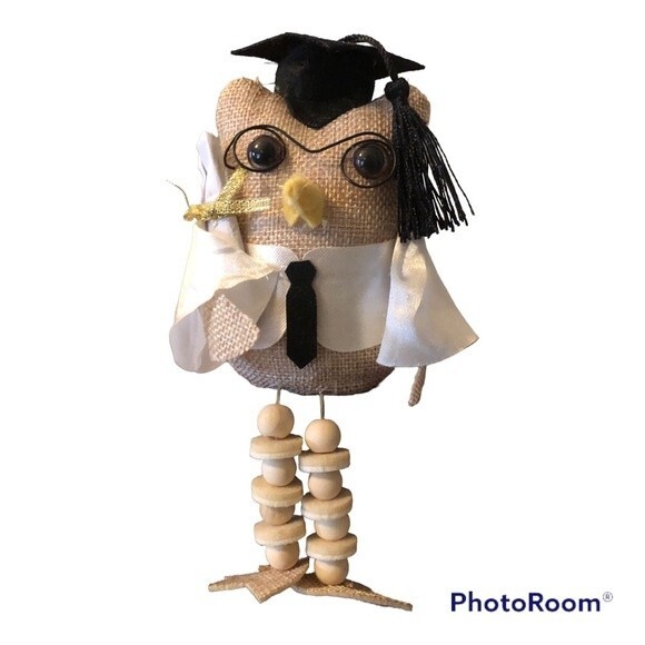 Graduate Owl Shelf Sitter with White Robe NEW NWT - Picture 1 of 2